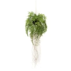 Emerald Fougère Artificielle Suspendue Avec Racines 35 Cm -Jardinoux Soldes Magasin 10ba55a1d5e18cac