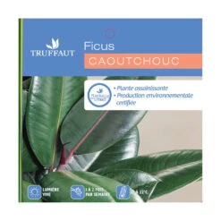 Caoutchouc : 3 Pieds Pot -Jardinoux Soldes Magasin 28705 001