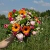 Bouquet Summer 1 Bouquet Summer -Jardinoux Soldes Magasin 3b2fb33120c38111
