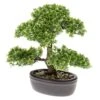 Emerald Mini Bonsaï Ficus Artificiel Vert 32 Cm 420002 -Jardinoux Soldes Magasin 40f186998a9da7d1