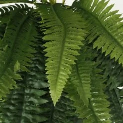 Fougère Artificiel En Bouquet 100cm 8 Fougère Artificiel En Bouquet 100cm -Jardinoux Soldes Magasin 42821312c90ce0e2