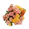 Botte De Roses Branchues - 5 Tiges : Coloris Variables -Jardinoux Soldes Magasin 482056 011