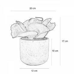 Succulente Artificielle Pot Effet Ciment 17cm 11 Succulente Artificielle Pot Effet Ciment 17cm -Jardinoux Soldes Magasin 486998e291933d12