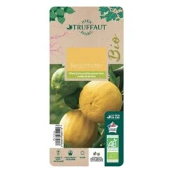 Bergamotier:AB Conteneur 3 Litres -Jardinoux Soldes Magasin 493514 009 1