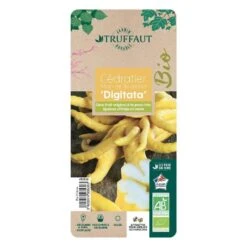 Main De Bouddah:AB Conteneur 3 Litres -Jardinoux Soldes Magasin 493536 006 1