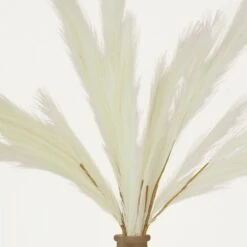 Plumeau Artificiel Crème 110cm Lot De 3 -Jardinoux Soldes Magasin 4cbd7840188bab6e