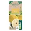 Yuzu AB:pot 3L -Jardinoux Soldes Magasin 540978 008