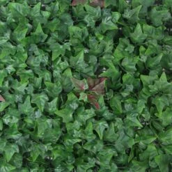 Mur Végétal Artificiel Lierre - 1m X 1m 8 Mur Végétal Artificiel Lierre - 1m X 1m -Jardinoux Soldes Magasin 639b1de4c63fe9.28340774