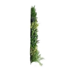 Mur Végétal Artificiel Premium City 2 - 12 Plantes - 1m X 1m 11 Mur Végétal Artificiel Premium City 2 - 12 Plantes - 1m X 1m -Jardinoux Soldes Magasin 639b1ded629b17.80014198