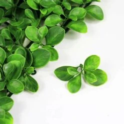 Mur Végétal Artificiel Giron Fleur - 1m X 1m 9 Mur Végétal Artificiel Giron Fleur - 1m X 1m -Jardinoux Soldes Magasin 639b1dee78aee8.77318206