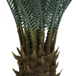 Plante Artificielle - Cycas Du Japon 80cm -Jardinoux Soldes Magasin 639b1df449a0b6.23211245
