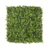 Mur Végétal Artificiel Extérieur Et Intérieur Prêt à Poser 1m X 1m Lierre -Jardinoux Soldes Magasin 63add93e3fa5b6.13617165