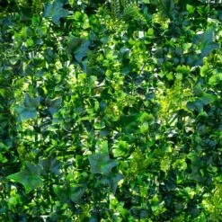 Mur Végétal Artificiel Extérieur Et Intérieur Prêt à Poser 1m X 1m Lierre 10 Mur Végétal Artificiel Extérieur Et Intérieur Prêt à Poser 1m X 1m Lierre -Jardinoux Soldes Magasin 63add93e4738f1.73564741