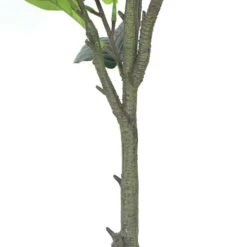 Plante Artificielle - Figuier 135cm -Jardinoux Soldes Magasin 63cbb442b97305.38121552