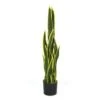 Plante Artificielle - Sanseviera Jaune 89cm 1 Plante Artificielle - Sanseviera Jaune 89cm -Jardinoux Soldes Magasin 63cbb449dc6d58.53762149
