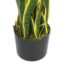 Plante Artificielle - Sanseviera Jaune 89cm 7 Plante Artificielle - Sanseviera Jaune 89cm -Jardinoux Soldes Magasin 63cbb449e3c2a8.85755282