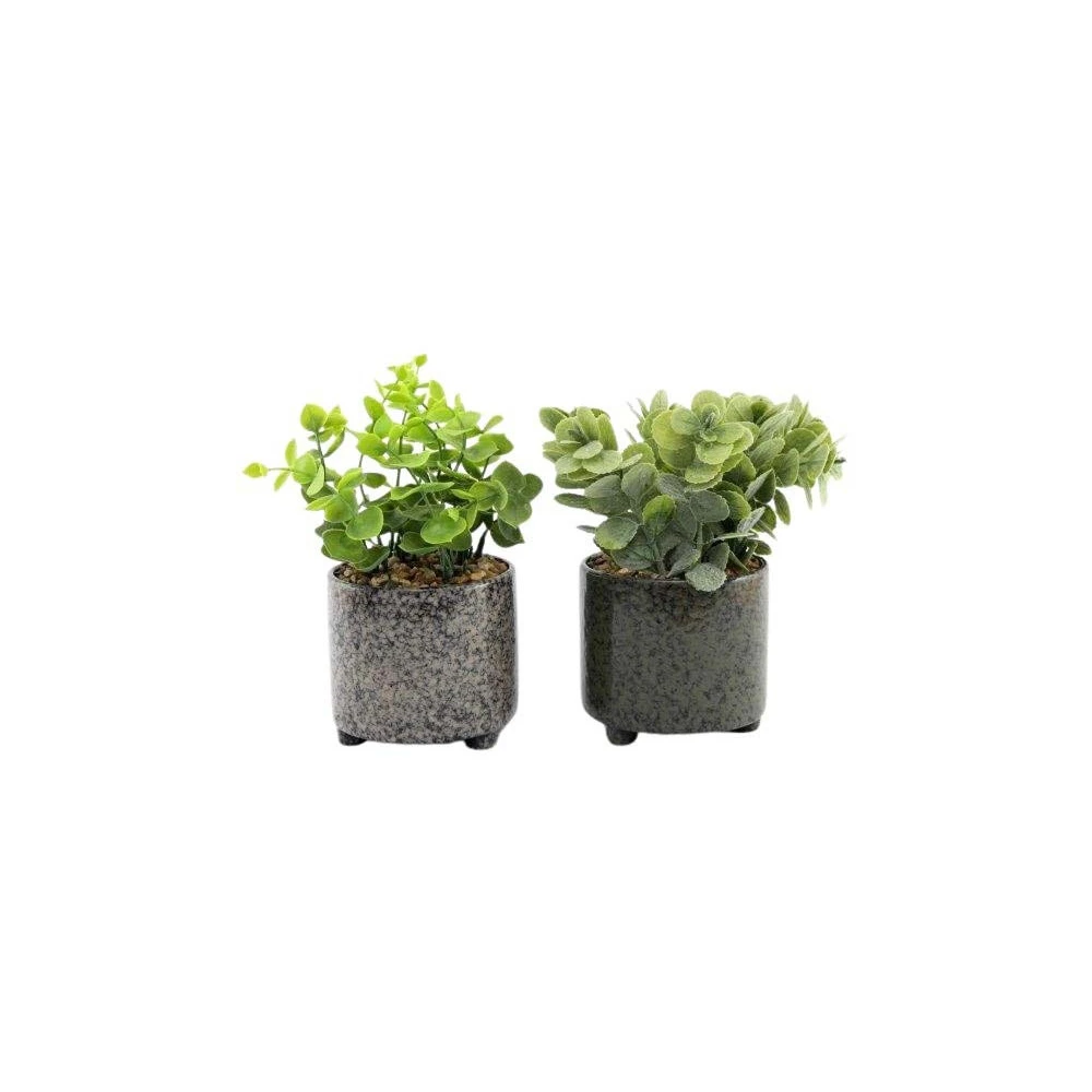 Plante Succulente Artificielle En Pot émaillé (lot De 2) 3 Plante Succulente Artificielle En Pot émaillé (lot De 2)