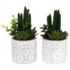 Plante Succulente Artificielle Pot En Ciment (lot De 2) -Jardinoux Soldes Magasin 63dd4fb24ade63.19650527