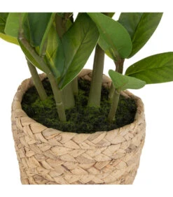 ATMOSPHERA Plante Artificielle Zamio En Pot H 41 Cm -Jardinoux Soldes Magasin 63eb35dbddde12.31611138