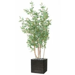 Joli Faux Eucalyptus En Pot H 160 Cm Feuillage Tissu Vert 6 Joli Faux Eucalyptus En Pot H 160 Cm Feuillage Tissu Vert -Jardinoux Soldes Magasin 63f60808610a68.01303219
