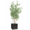 Joli Faux Eucalyptus En Pot H 160 Cm Feuillage Tissu Vert 2 Joli Faux Eucalyptus En Pot H 160 Cm Feuillage Tissu Vert -Jardinoux Soldes Magasin 63f608086c8a59.04838388