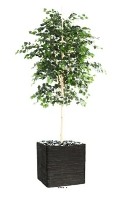 Bouleau Artificiel En Pot, H 210 Cm, D 105 Cm, Feuillage Vert -Jardinoux Soldes Magasin 63f60818692e84.46520743
