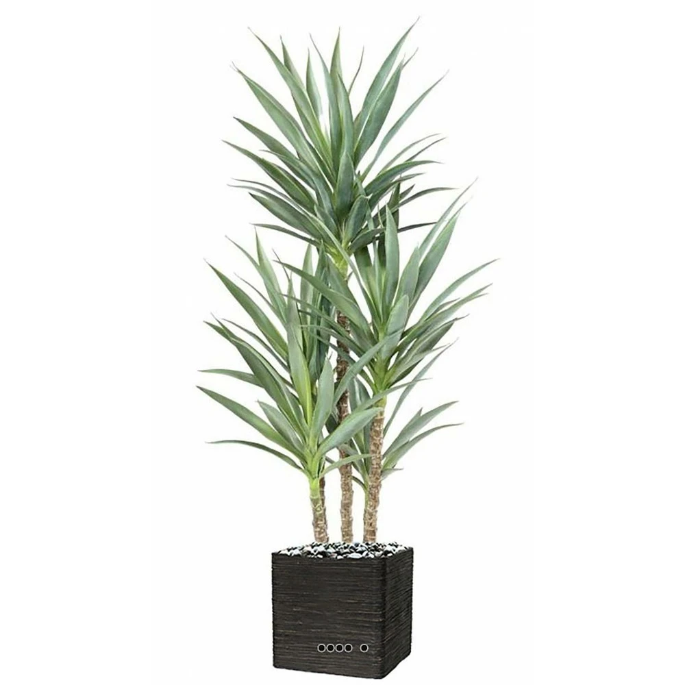 Yucca Artificiel Multitroncs En Pot H 150 Cm Feuillage Plastique 4 Yucca Artificiel Multitroncs En Pot H 150 Cm Feuillage Plastique – Image 2