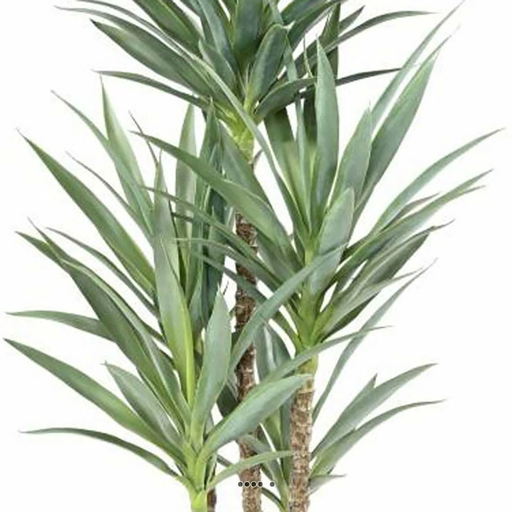 Yucca Artificiel Multitroncs En Pot H 150 Cm Feuillage Plastique 5 Yucca Artificiel Multitroncs En Pot H 150 Cm Feuillage Plastique – Image 3