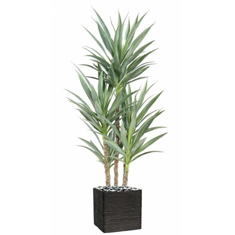 Yucca Artificiel Multitroncs En Pot H 150 Cm Feuillage Plastique 3 Yucca Artificiel Multitroncs En Pot H 150 Cm Feuillage Plastique