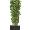 Schefflera Artificiel En Colonne En Pot H 195 Cm Vert-jaune 2 Schefflera Artificiel En Colonne En Pot H 195 Cm Vert-jaune -Jardinoux Soldes Magasin 63f60821727c15.67875489