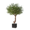 Superbe Olivier Majestueux Artificiel En Pot H 270 Cm 2 Superbe Olivier Majestueux Artificiel En Pot H 270 Cm -Jardinoux Soldes Magasin 63f608230919f0.69516917