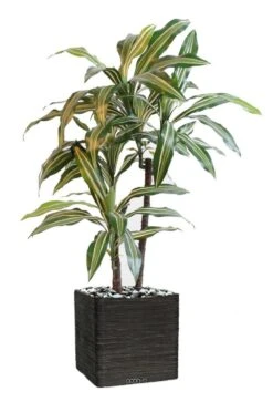 Dracaena Artificiel 3 Têtes H 90 Cm En Pot Vert-jaune -Jardinoux Soldes Magasin 63f6082779db42.86989259