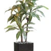 Dracaena Artificiel 3 Têtes H 90 Cm En Pot Vert-jaune -Jardinoux Soldes Magasin 63f608277db9f1.81268139