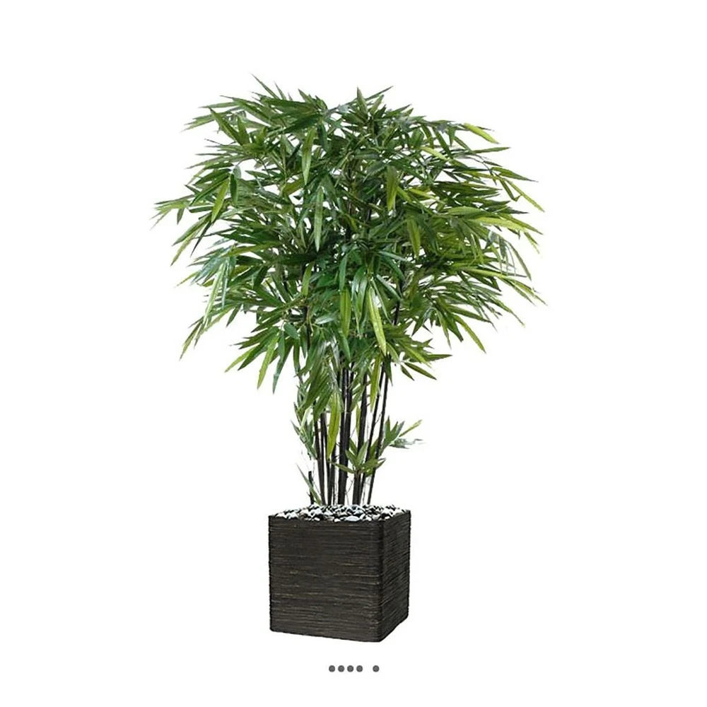 Bambou Artificiel à Cannes Noires Effet Zen H 210 Cm - Choisissez Votre Hauteur: 4 Bambou Artificiel à Cannes Noires Effet Zen H 210 Cm - Choisissez Votre Hauteur: – Image 2