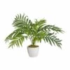 Palmier Areca Artificiel En Pot Ceramique H 60 Cm Superbe -Jardinoux Soldes Magasin 63fa513c43b1a1.32986122