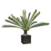 Palmier Cycas Artificiel En Pot H 200 Cm Vert - Choisissez Votre Hauteur: H 200 -Jardinoux Soldes Magasin 63fa513dd2ad10.19364011