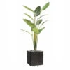 Palmier Arbre Du Voyageur Artificiel H 220 Cm En Pot 14 Feuilles -Jardinoux Soldes Magasin 63fa513f624853.04844827