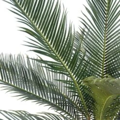 Palmier Cycas Artificiel En Pot H 50 Cm Vert - Choisissez Votre Hauteur: H 50 Cm -Jardinoux Soldes Magasin 63fa5142a15859.96036681