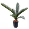 Palmier Cycas Artificiel En Pot H 50 Cm Vert - Choisissez Votre Hauteur: H 50 Cm -Jardinoux Soldes Magasin 63fa5142a59318.35638466
