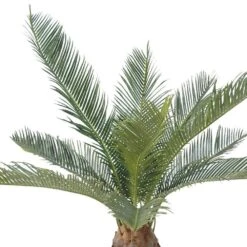 Palmier Cycas Artificiel En Pot H 50 Cm Vert - Choisissez Votre Hauteur: H 50 Cm -Jardinoux Soldes Magasin 63fa5142a93cb8.95951104