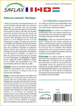 Kit De Culture - Arbre Au Caramel - 200 Graines - Cercidiphyllum Japonicum -Jardinoux Soldes Magasin 64064132c9d4c4.04855019