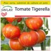 Kit De Culture - Tomate Tigerella - 10 Graines - Lycopersicon Esculentum -Jardinoux Soldes Magasin 64064139be26e2.18105117