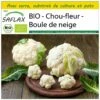 Kit De Culture - Bio - Chou-fleur - Boule De Neige - 70 Graines - Brassica Oleracea Var. Botrytis -Jardinoux Soldes Magasin 6406413d32e005.54382019