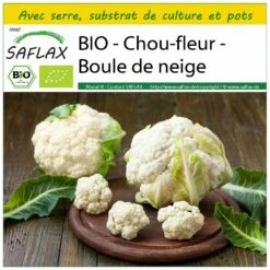 Kit De Culture - Bio - Chou-fleur - Boule De Neige - 70 Graines - Brassica Oleracea Var. Botrytis