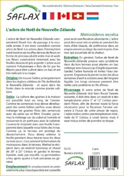 Kit De Culture - L'arbre De Noël De Nouvelle-zélande - 300 Graines - Metrosideros Excelsa -Jardinoux Soldes Magasin 6406415d43fb13.76934822