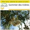 Kit De Culture - Gommier Des Rivières - 200 Graines - Eucalyptus Camaldulensis -Jardinoux Soldes Magasin 6406416156ee69.95099741