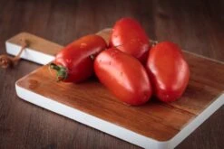 Kit De Culture - Bio - Tomate - San Marzano - 15 Graines - Solanum Lycopersicum -Jardinoux Soldes Magasin 6406416b4f7255.16851216