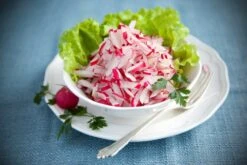 Kit De Culture - Bio - Radis - Cherry Bell - 100 Graines - Raphanus Sativus -Jardinoux Soldes Magasin 640641a656fec4.35520788