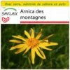 Kit De Culture - Arnica Des Montagnes - 40 Graines - Arnica Montana 2 Kit De Culture - Arnica Des Montagnes - 40 Graines - Arnica Montana -Jardinoux Soldes Magasin 640641a909b7e4.18340636