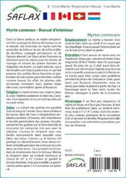 Kit De Culture - Myrte Commun - 30 Graines - Myrtus Communis -Jardinoux Soldes Magasin 640641b38ab843.99066445